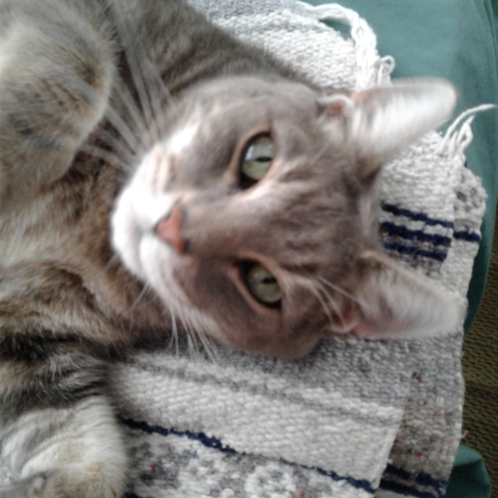 Meet your Posher, V.